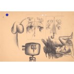 Franciszek STAROWIEYSKI (1930-2009), Kompozycja surrealistyczna | Kwiaty (kompozycja dwustronna)
