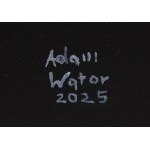 Adam Wątor (nato nel 1970, Myślenice), Imagination, 2025