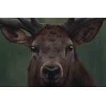 Kornel Mierzejewski (ur. 1997, Toruń), Deer_01, 2024