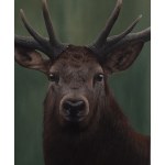 Kornel Mierzejewski (ur. 1997, Toruń), Deer_01, 2024