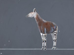 Aleksandra Lacheta (b. 1992), 