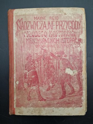 Mayne Reid Extraordinary adventures of a young captain on the Mexican steppes