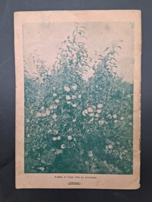 Catalog of fruit trees and shrubs of the nurseries of the horticultural farm Mieczyslaw Boleslaw Hoffman in Czestochowa