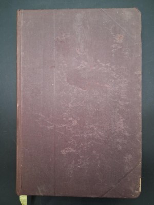 Last Voivode of Vilnius (Helena of Przeździecka Ks. Radziwołlova) by X.M.R. Year 1892