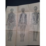 Dr. med. Henryk Rodowski Encyklopedja życia Tom I-II
