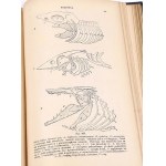 BOAS- PODRĘCZNIK ZOOLOGII 1893 setki rycin