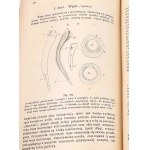 BOAS- PODRĘCZNIK ZOOLOGII 1893 setki rycin