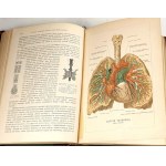 [CZ£OWIEK] ЧЕЛОВЕК T. 1-2. St. Petersburg 1903