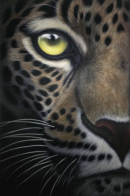 Paulina Wróblewska, Lyra z cyklu Wild Eyes, 2025