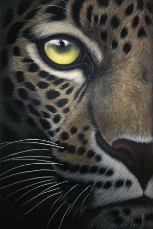 Paulina Wróblewska, Lyra z cyklu Wild Eyes, 2025
