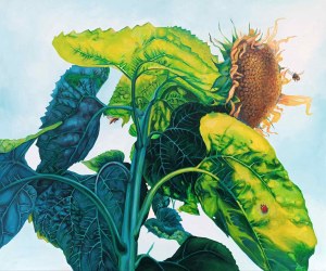Mila Chyzawska, Sunflowers, 2025