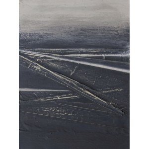 Katarzyna TERESZKIEWICZ (ur. 1996), Inapparent, 2021