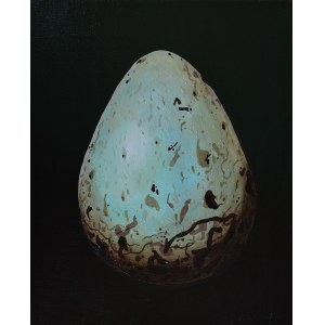 Szymon Kurpiewski, Egg#9