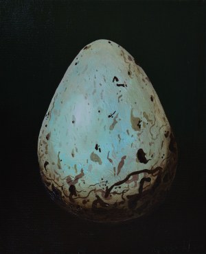 Szymon Kurpiewski, Egg#9