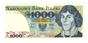 1000 Gold 1982, EY series