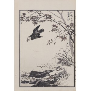 Kikuchi Hobun (1862-1918), Ptak białogłowy i jesienne liście klonu, z serii: „Hobun gafu”, wyd. Tanaka Jihē, Kioto/Japonia, 1890 r.