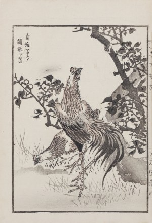 Kikuchi Hobun (1862-1918), Kogut i kura w cieniu śliwy, z serii: „Hobun gafu”, wyd. Tanaka Jihē, Kioto/Japonia, 1890 r.
