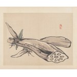 더 보기
