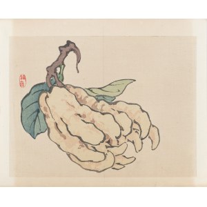 Kōno Bairei (1844-1895), Cytron palczasty - ręka Buddy, wyd. Yamada Shinzaburo, Kioto/Japonia, 1913 r.