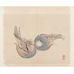 더 보기