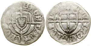 Ordine Teutonico, shlomo