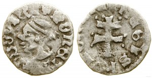 Polska, denar, (1358-1366)