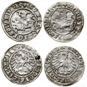 Polska, zestaw: 2 x półgrosz, 1513, 1514, Wilno