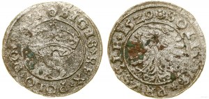 Poland, sheląg, 1529, Toruń