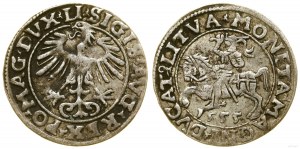 Poland, half-penny, 1555, Vilnius