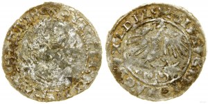 Poland, penny - fancy period forgery, 16th century.