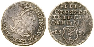 Polska, trojak, 1557, Gdańsk