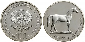 Pologne, 100 zloty, 1981, Varsovie