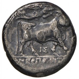 CAMPANIA Neapolis - Nomos (circa 275-250 a.C.) Testa di...