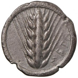 LUCANIA Metapontum - Statere (ca. 510-470 B.C.) Spiga ...