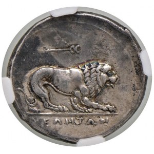 LUCANIA Velia - Didramma (293-280 a.C.) Testa elmata di...