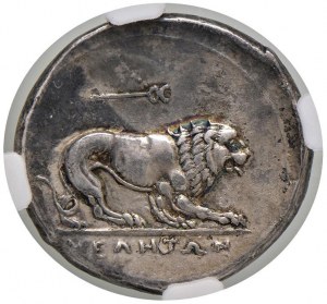 LUCANIA Velia - Didramma (293-280 BC) Helmeted head of...
