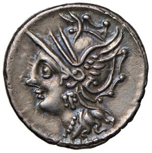 Coelia - C. Coilius Caldus - Denarius (104 B.C.) Head d...