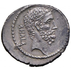 Junia - M. Junius Brutus - Denario (54 a.C.) Testa di L...