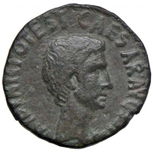Augusto (27 a.C.-14 d.C.) Asse - Testa a d. - R/ SC nel...