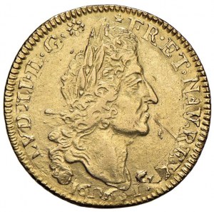 FRANCE Louis XIV (1643-1715) Louis 1691 ( ?) - KM 302 ; ...