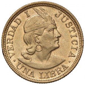 PERU Libra 1906 - KM 207; Fr. 73 AU (g 8,00) Graffietti...