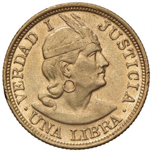 PERU Libra 1906 - KM 207; Fr. 73 AU (g 8.00) Scratches...