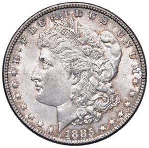 U.S. Dollar 1885 - KM 110 AG (g 26.72) Beautiful patin...