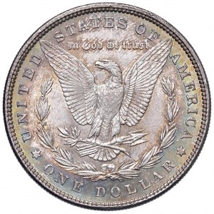 U.S. Dollar 1885 - KM 110 AG (g 26.72) Beautiful patin...