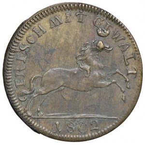 Medaglia 1802 Pace di Amiens. D/ OMNIBUS NON SIBI. Font...