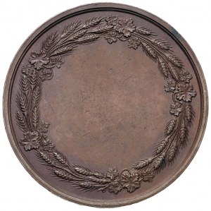 Medal 1802 Society of Useful Arts of Lyon, medagl...