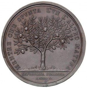Medal 1803 School of Ferrara. Prize medal. D/ Ci...