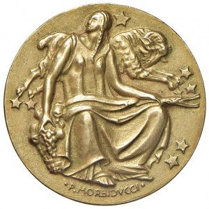 Fascismo Ventennio (1922-1943) Medaglia 1931 A. IX dell...