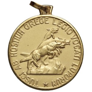 Italská armádní medaile 1972 78. pěší pluk...