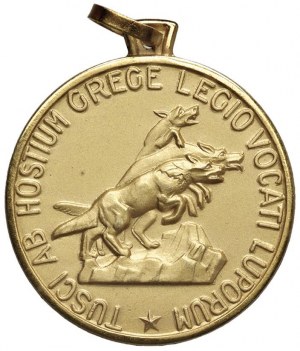 Italian Army Medal 1972 78th Infantry Regiment...